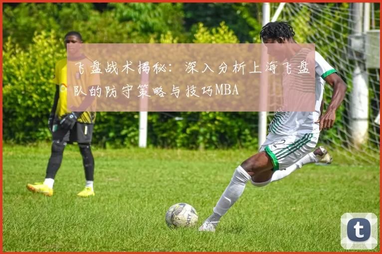 飞盘战术揭秘：深入分析上海飞盘队的防守策略与技巧MBA