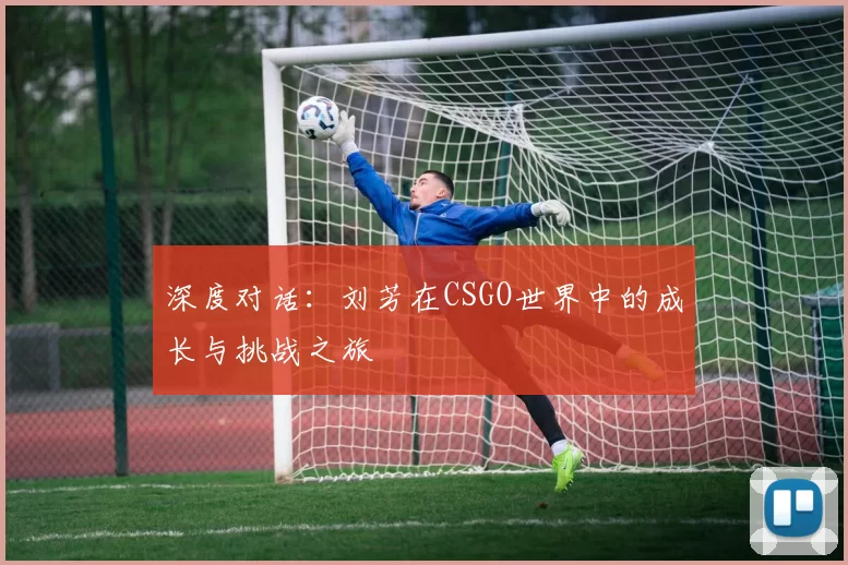 深度对话：刘芳在CSGO世界中的成长与挑战之旅