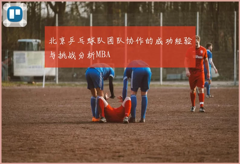 北京乒乓球队团队协作的成功经验与挑战分析MBA