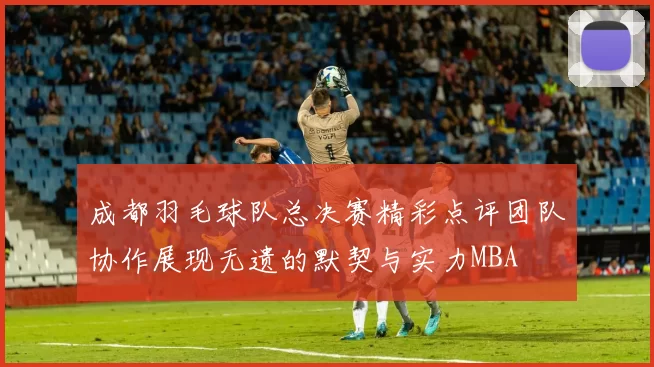 成都羽毛球队总决赛精彩点评团队协作展现无遗的默契与实力MBA