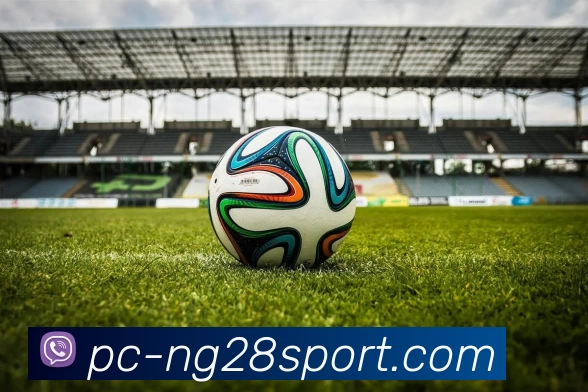 南宫28集团APP 体育赛事宣传图